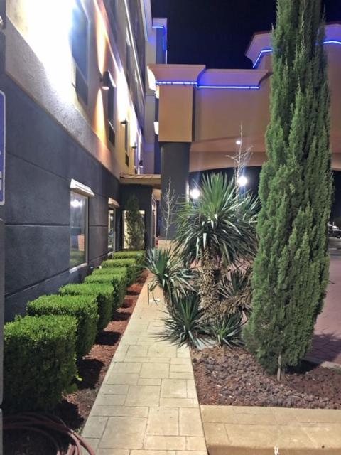 Robinson Inn And Suites מראה חיצוני תמונה